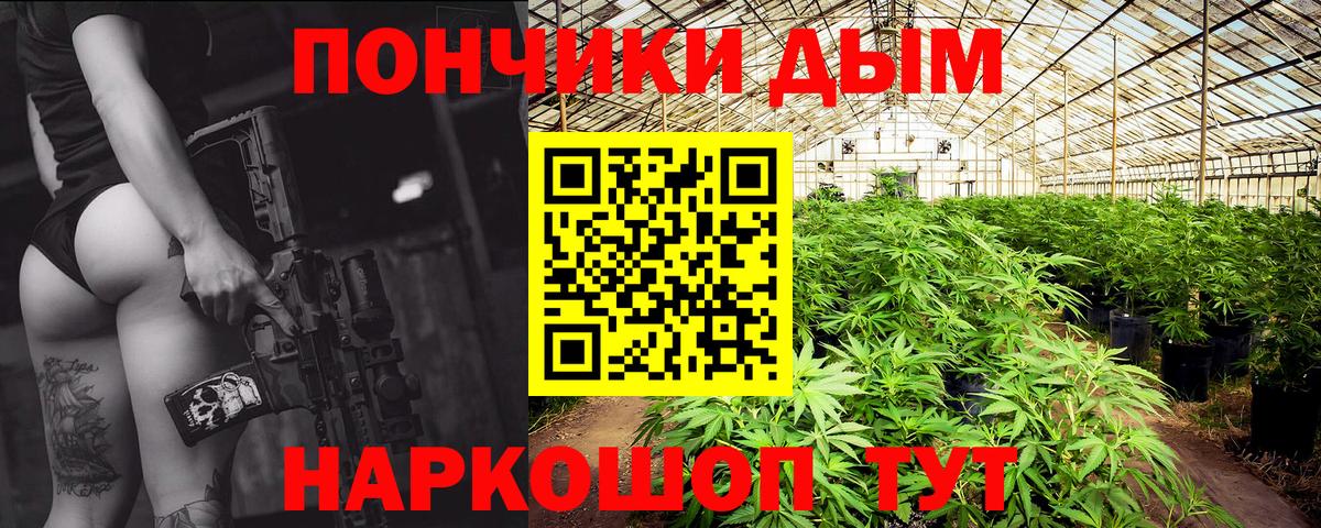 Галлюциногенные грибы Сарапул
